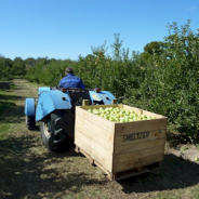 It’s apple season in Northern Michigan!